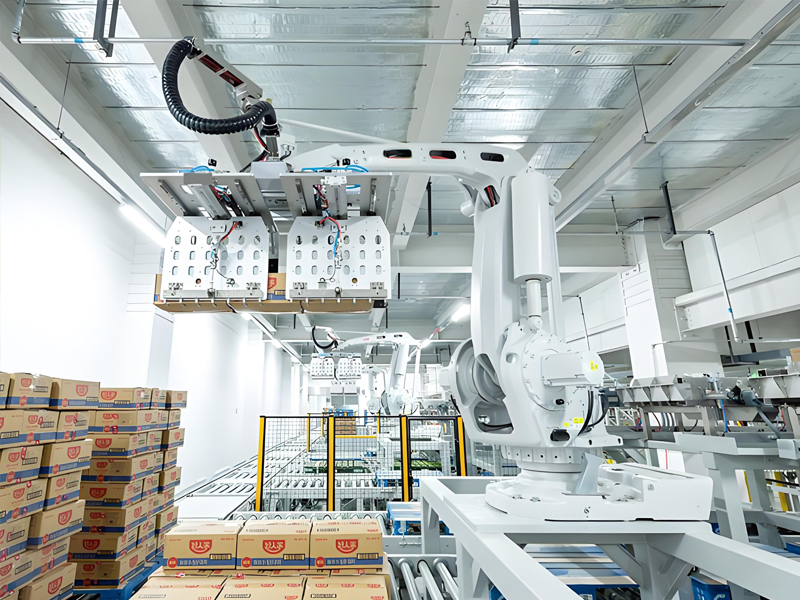 Heavy Duty Palletizing Robot Arm​