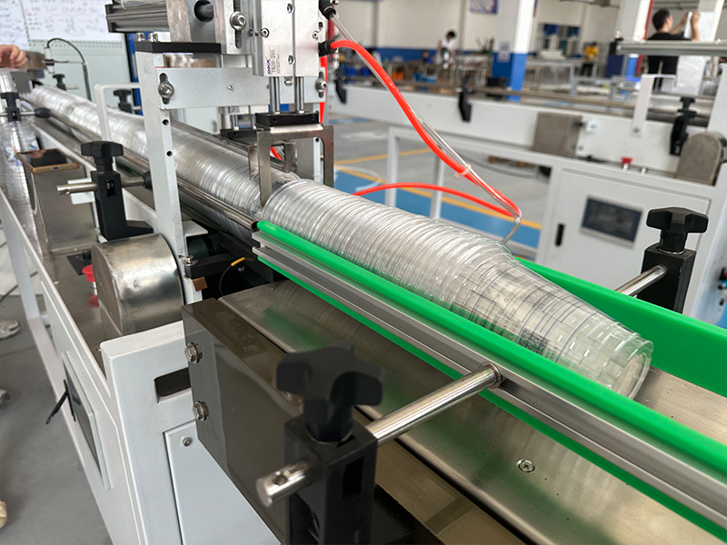 Pillow Type Packing Machine