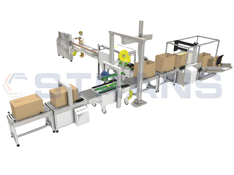 Case Packing and Sealing Line​